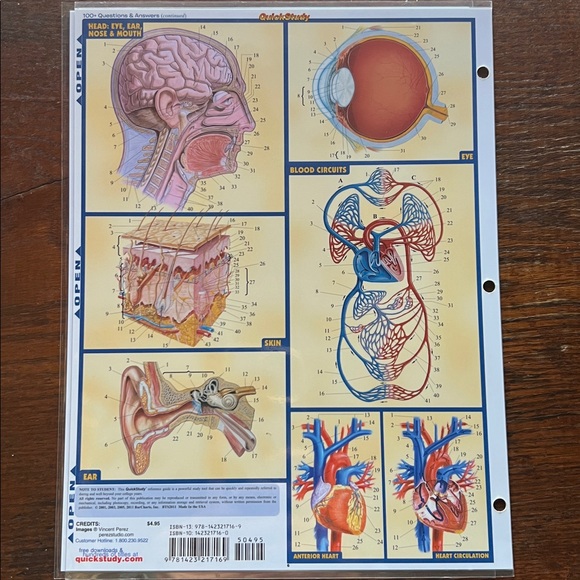 Quick Study Anatomy Reference Guide - Picture 2 of 3